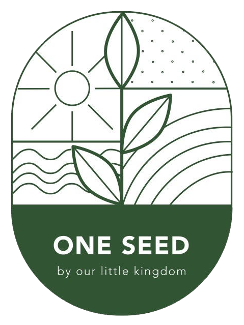 Rosemary (Rosmarinus officinalis) - Lamiaceae plant